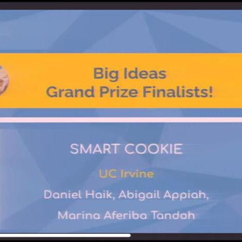 BIG IDEAS GRAND FINALISTS