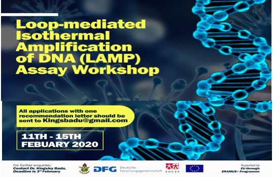 Loop-mediated Isothermal Amplification of DNA (LAMP-WORKSHOP.jpg