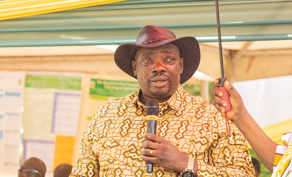 Professor Emmanuel Ohene Afoakwah, President of the Ghana Food Science a