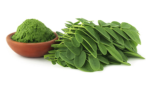  Nutritional Potential of Moringa leaves