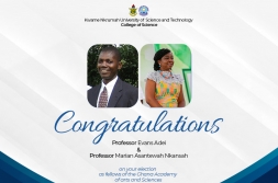 Prof. Evans Adei and Prof. Marian Asantewah Nkansah